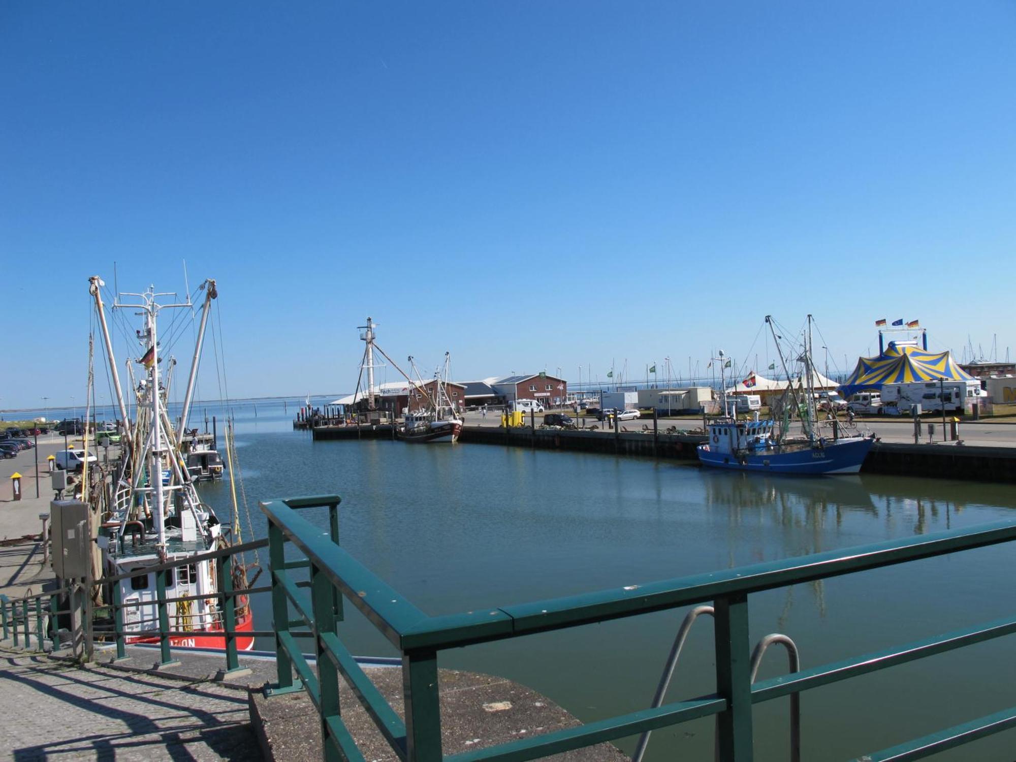 Fewo Abdena Dorn200 Naehe Dornumersiel An Der Nordsee Exterior foto